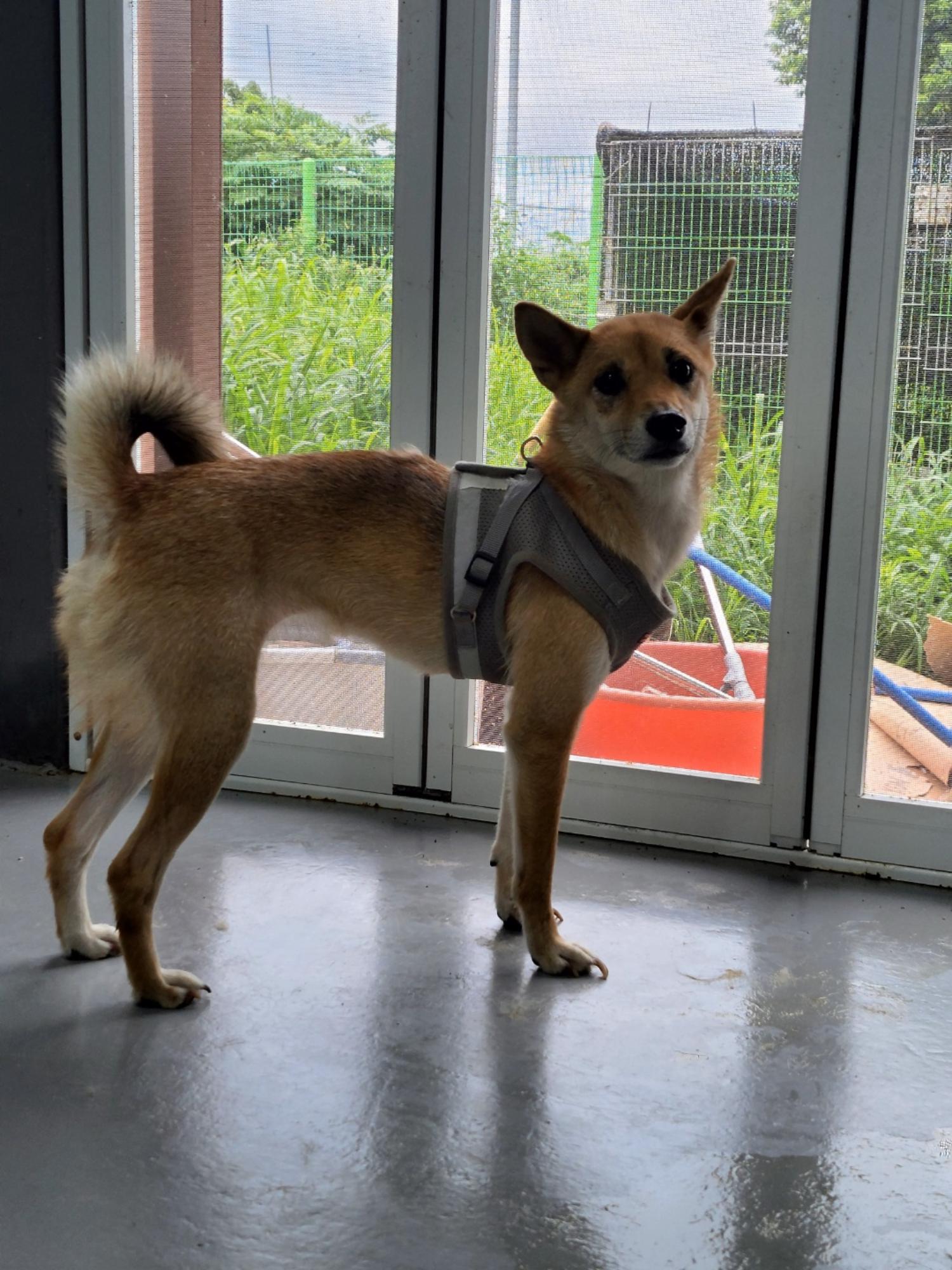 하남동물병원_441404202300354